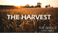 The Harvest